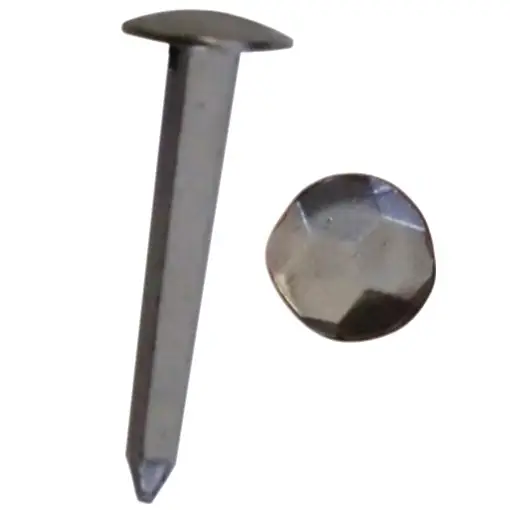 Neuheit Ziernägel geschmiedet,Kopf D14mm gehämmert,100St.